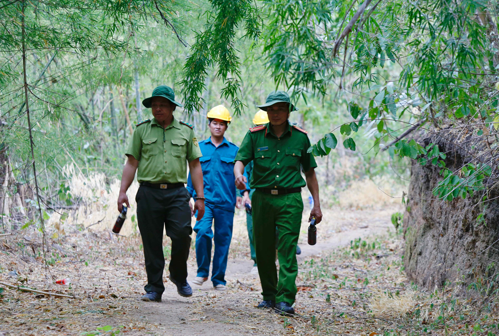 Sẵn sàng phối hợp lực lượng ứng phó, xử lý các tình huống cấp bách trong bảo vệ rừng và phòng cháy, chữa cháy rừng