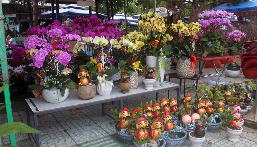 Các loại hoa trưng tết cũng đã được bày bán đủ loại, đủ màu sắc, kích cỡ và giá tiền