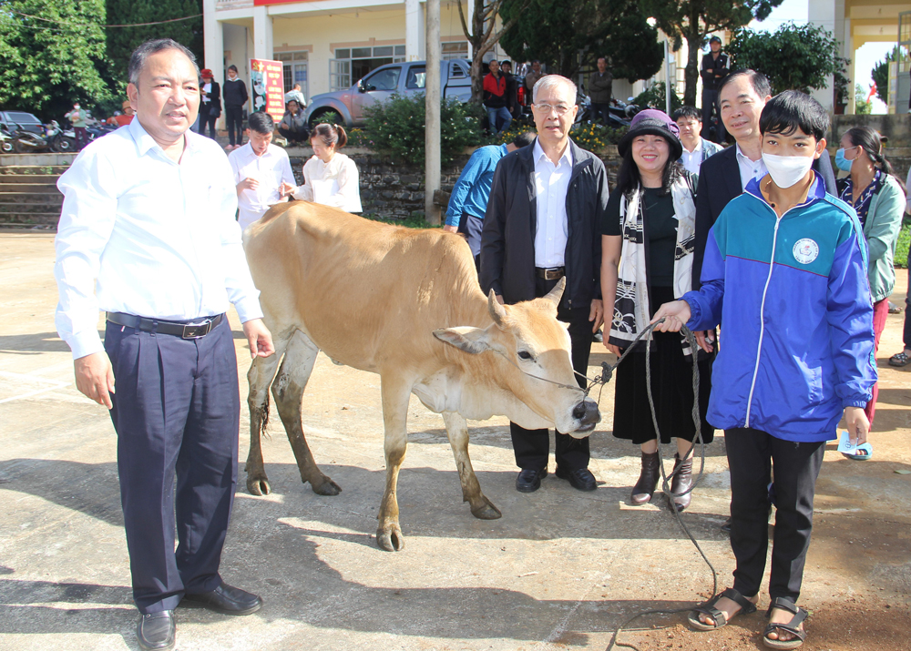 Trao bò cho người khuyết tật khó khăn tại Lâm Hà