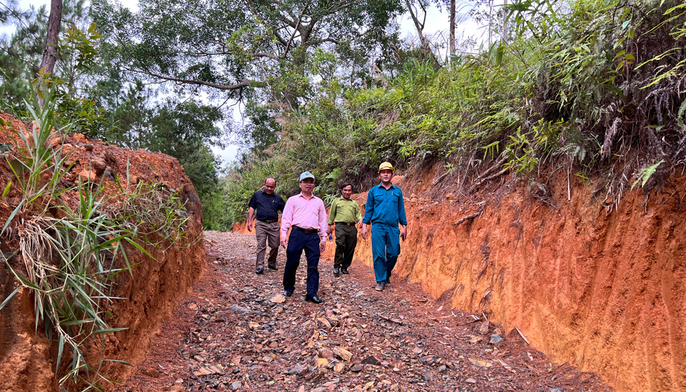 Công tác kiểm tra rừng được lãnh đạo huyện Di Linh thường xuyên thực hiện