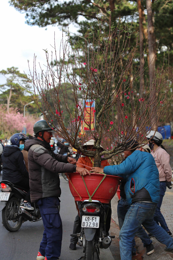 Nhiều người dân tranh thủ chiều 30 Tết ra chợ hoa để chọn mua vì giá giảm, hợp túi tiền người tiêu dùng