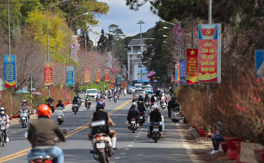Trên đường Trần Hưng Đạo nối đường Hùng Vương (Phường 10) ngập tràn sắc xuân với hàng trăm loại hoa tết được bày bán bắt mắt 