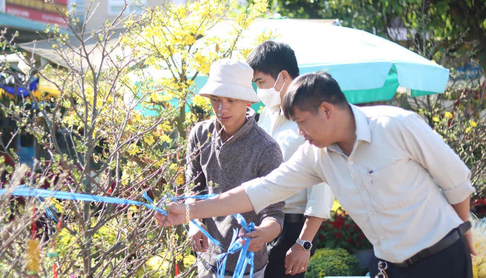 Nhộn nhịp chợ hoa tết ở Di Linh