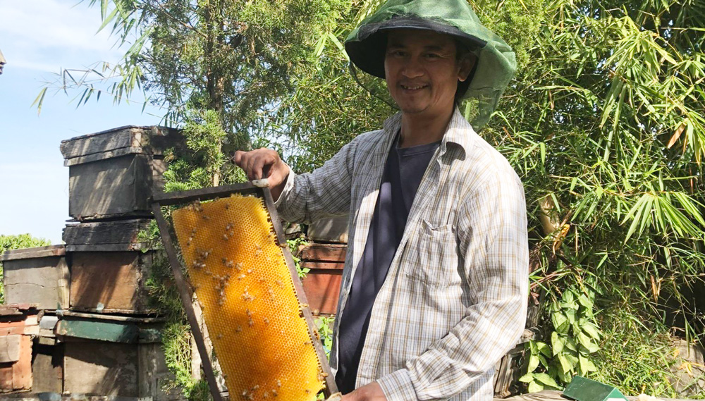 Nông dân mang mật ong lên Tiktok