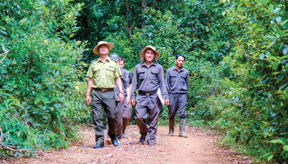 Cán bộ Hạt Kiểm lâm huyện Bảo Lâm phối hợp với đơn vị chủ rừng tuần tra bảo vệ rừng giáp ranh trên địa bàn xã Lộc Bảo