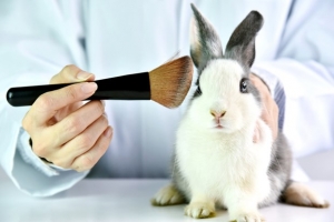 Canada sẽ cấm hành động thử nghiệm mỹ phẩm trên động vật