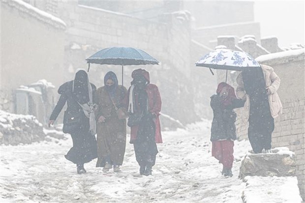 Tuyết rơi dày đặc tại Kabul, Afghanistan ngày 8/1/2023.
