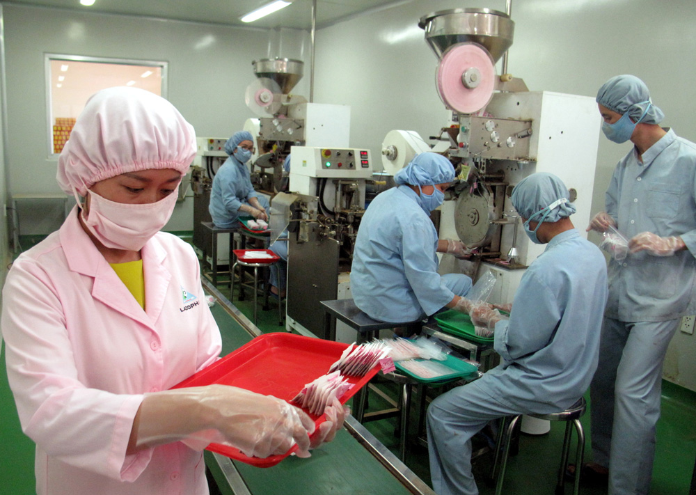 Sản xuất trà atiso túi lọc tại Nhà máy Ladophar đóng ở Khu công nghiệp Phú Hội (Đức Trọng)