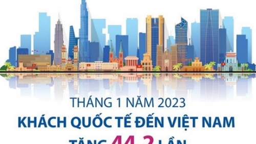 Khách quốc tế đến Việt Nam trong tháng 1 tăng 44,2 lần