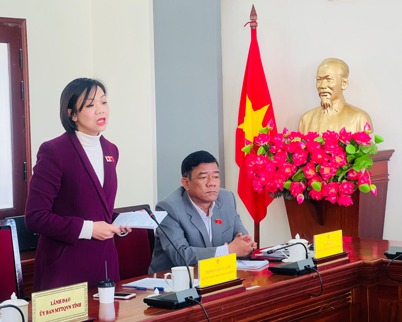 ĐBQH Trịnh Thị Tú Anh phát biểu nêu những vấn đề tồn tại và đề xuất giải pháp tại buổi giám sát