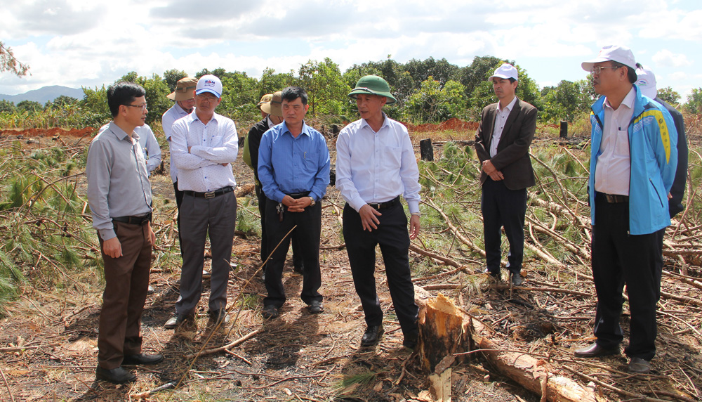 Chủ tịch UBND tỉnh Trần Văn Hiệp kiểm tra một số công trình, dự án tại Lâm Hà