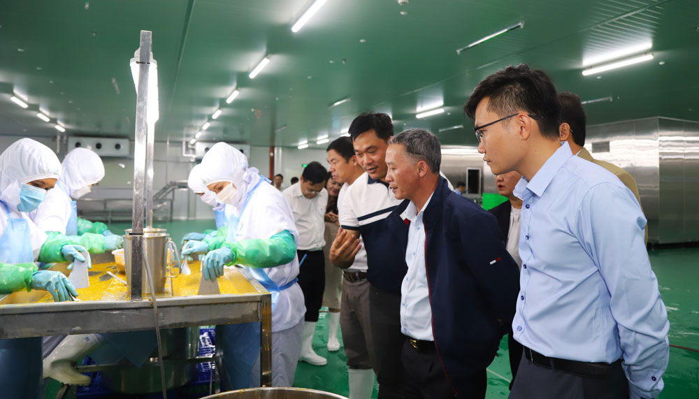 Chủ tịch UBND tỉnh Lâm Đồng Trần Văn Hiệp kiểm tra dây chuyền chế biến chanh dây tại Công ty B’Lao Food