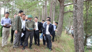 Chủ tịch UBND tỉnh kiểm tra công tác triển khai dự án mở rộng đèo Prenn và đường vành đai hồ Tuyền Lâm
