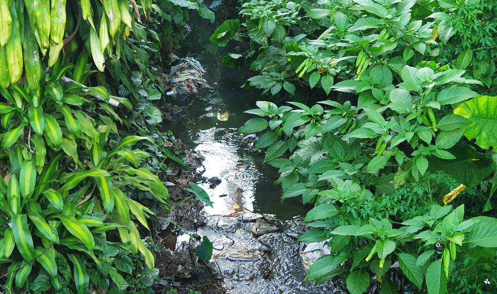 Suối Số 1 (Phường 2) được cho là khởi nguồn khiến rác thải người dân vứt bỏ trôi theo cống thoát nước ra hồ Đồng Nai hạ