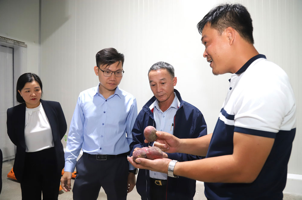 Lãnh đạo Công ty B’Lao Food giới thiệu sản phẩm canh dây tươi cấp đông với Chủ tịch UBND tỉnh