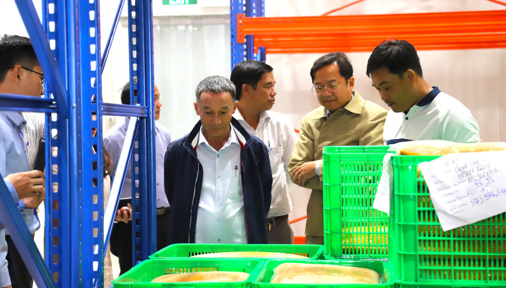 Chủ tịch UBND tỉnh kiểm tra kho lạnh bảo quản sản phẩm sau chế biến của Công ty B’Lao Food