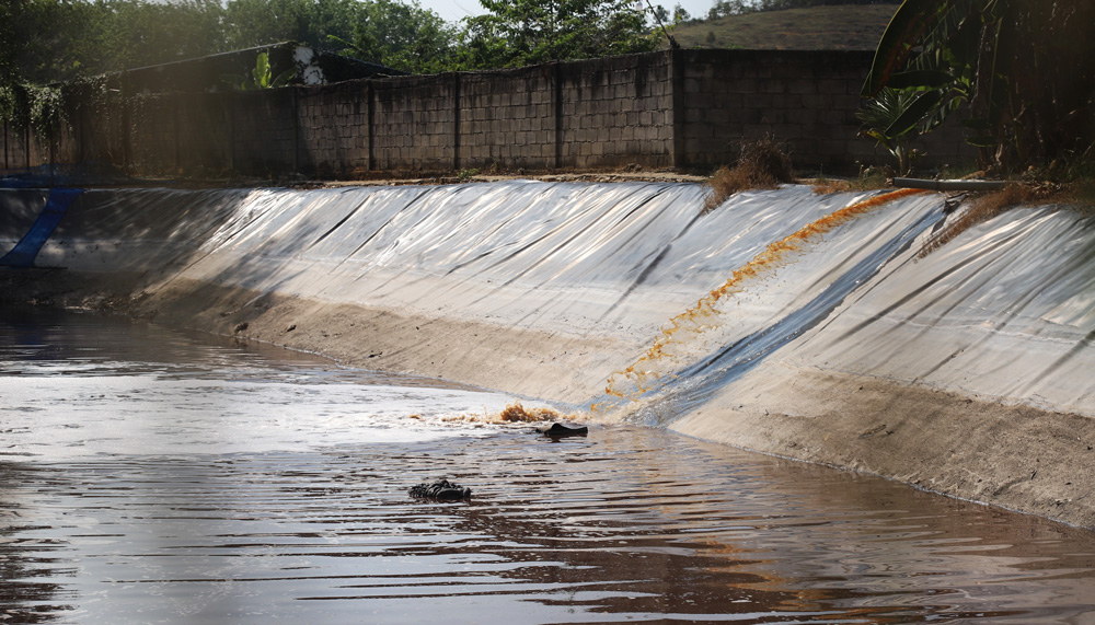 Hồ chứa nước thải tại trại heo thuộc Ấp 3 (xã Phú An, huyện Tân Phú) để lộ thiên rồi xả ra môi trường