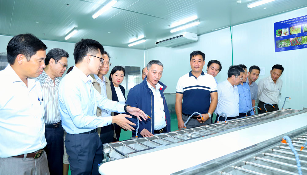 Đồng chí Trần Văn Hiệp cùng đoàn công tác thăm các dây chuyền sản xuất của Công ty B’Lao Food