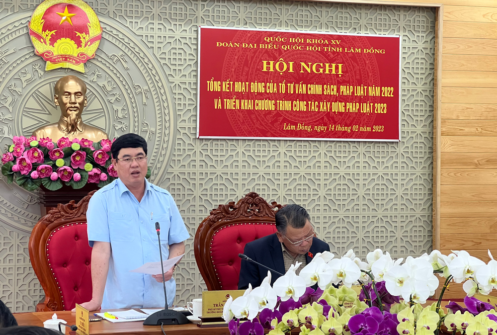 Đồng chí Trần Đình Văn – Phó Bí thư Thường trực Tỉnh ủy, Trưởng Đoàn ĐBQH phát biểu