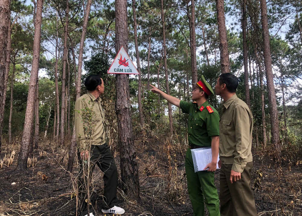 Kiểm tra, hướng dẫn các đơn vị chủ rừng thực hiện trách nhiệm PCCC rừng