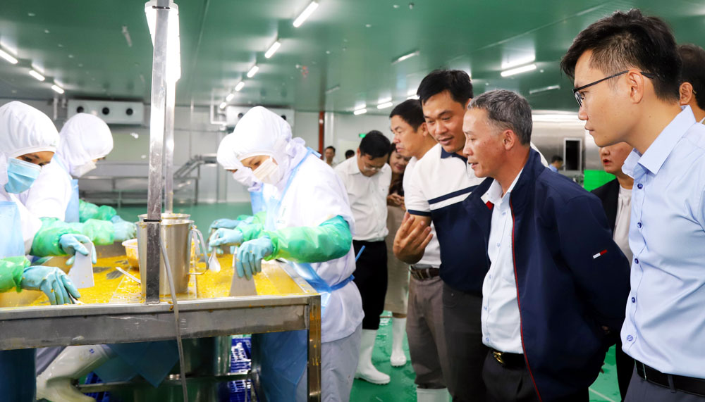 Chủ tịch UBND tỉnh kiểm tra tại nhà máy chế biến nông sản lớn nhất tỉnh Lâm Đồng