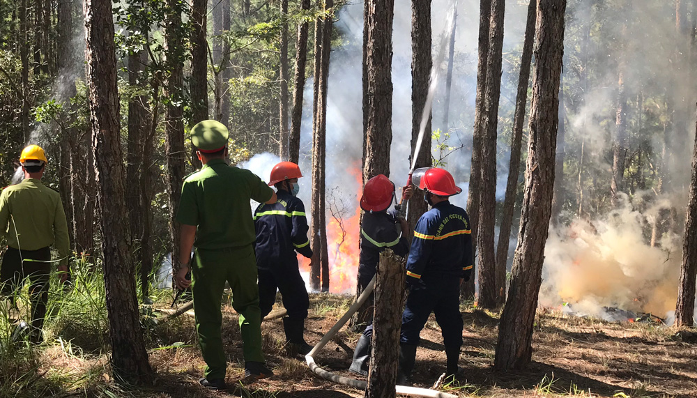 Diễn tập phòng cháy, chữa cháy rừng