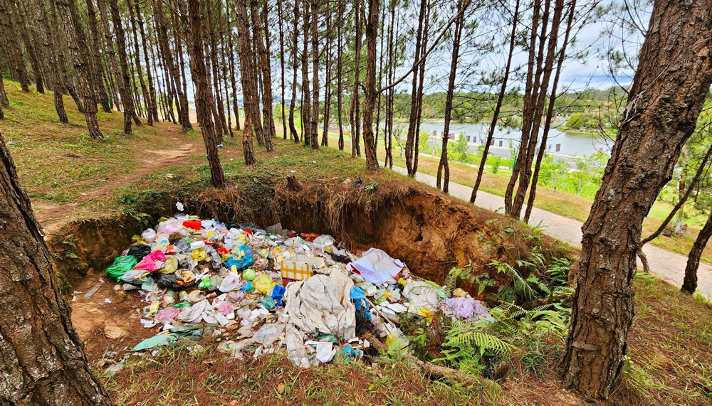Hố rác trong công viên Trần Quốc Toản