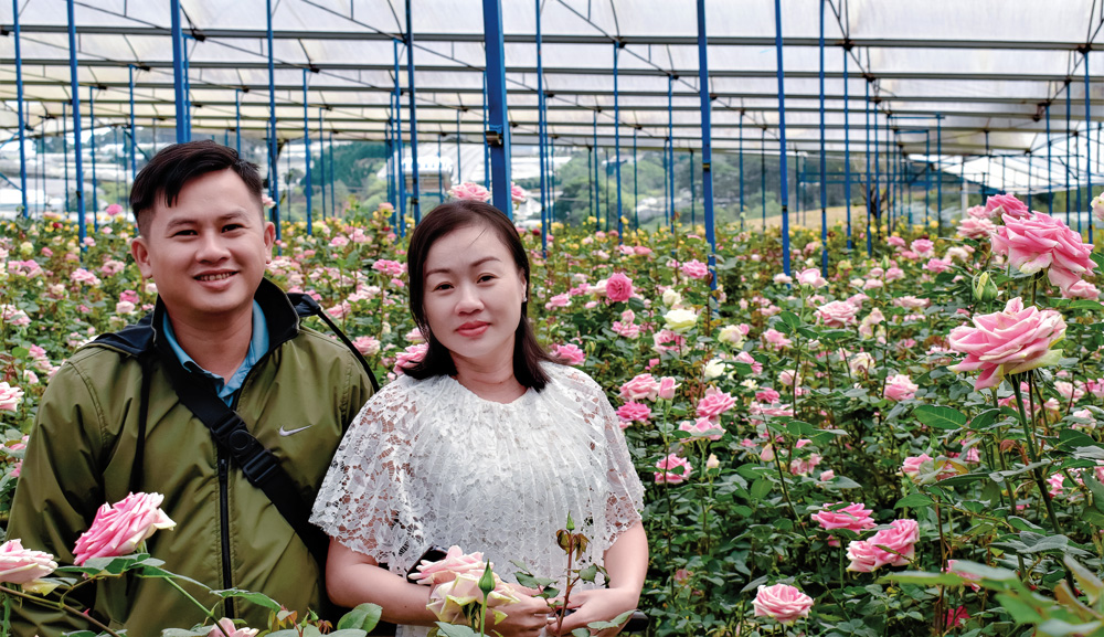 Du khách check in trong vườn hoa hồng châu Âu diện tích hơn 8.000 m2 tại khu vực Suối Hến, Đà Lạt