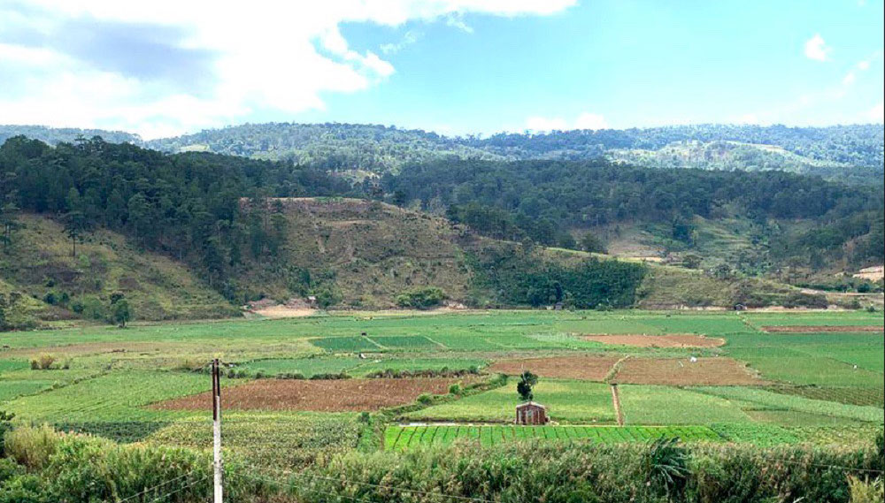 Một phần khu vực thu hồi đất để triển khai Dự án hồ chứa nước Ta Hoét