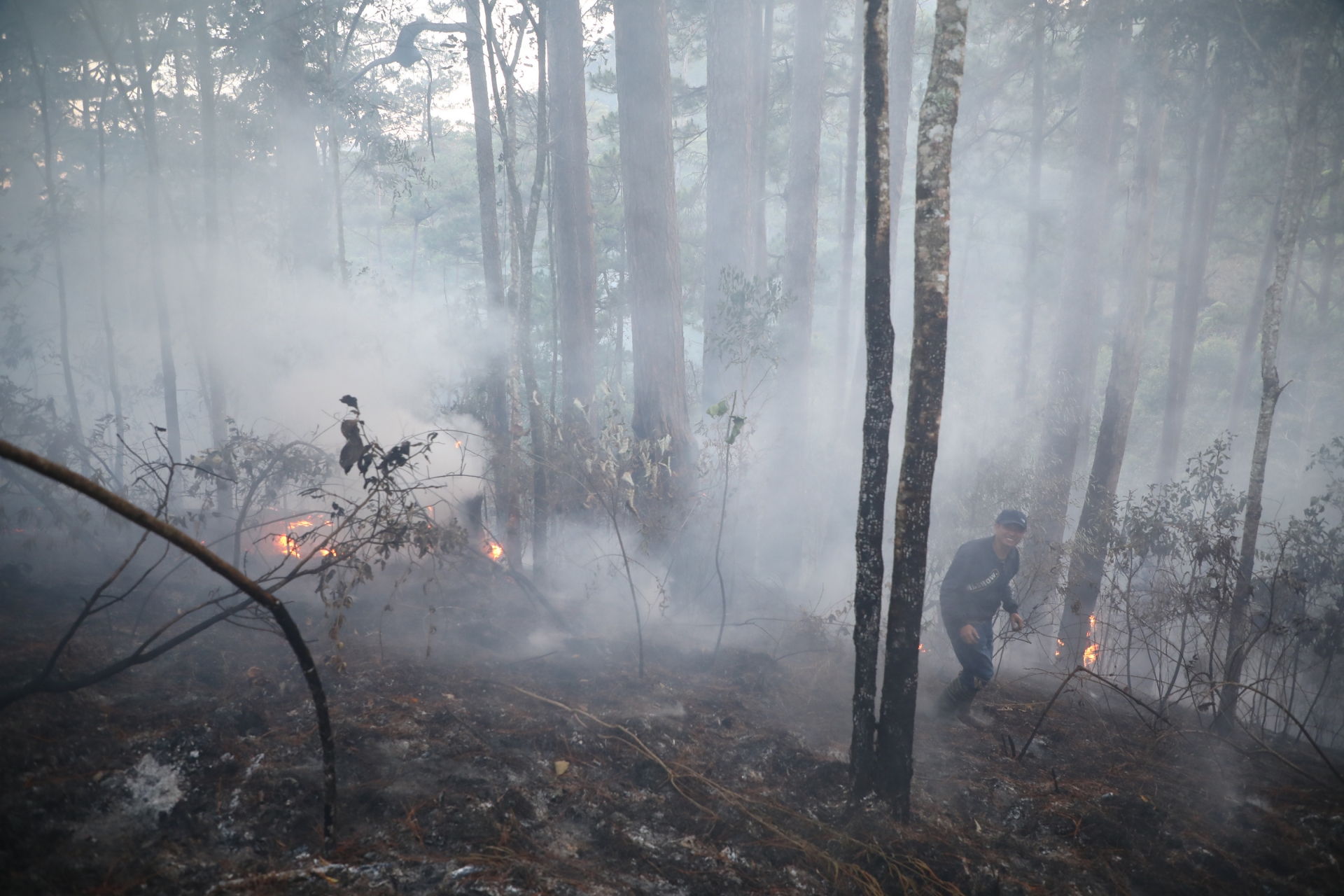 Tăng cường phòng cháy chữa cháy rừng cao điểm mùa khô 