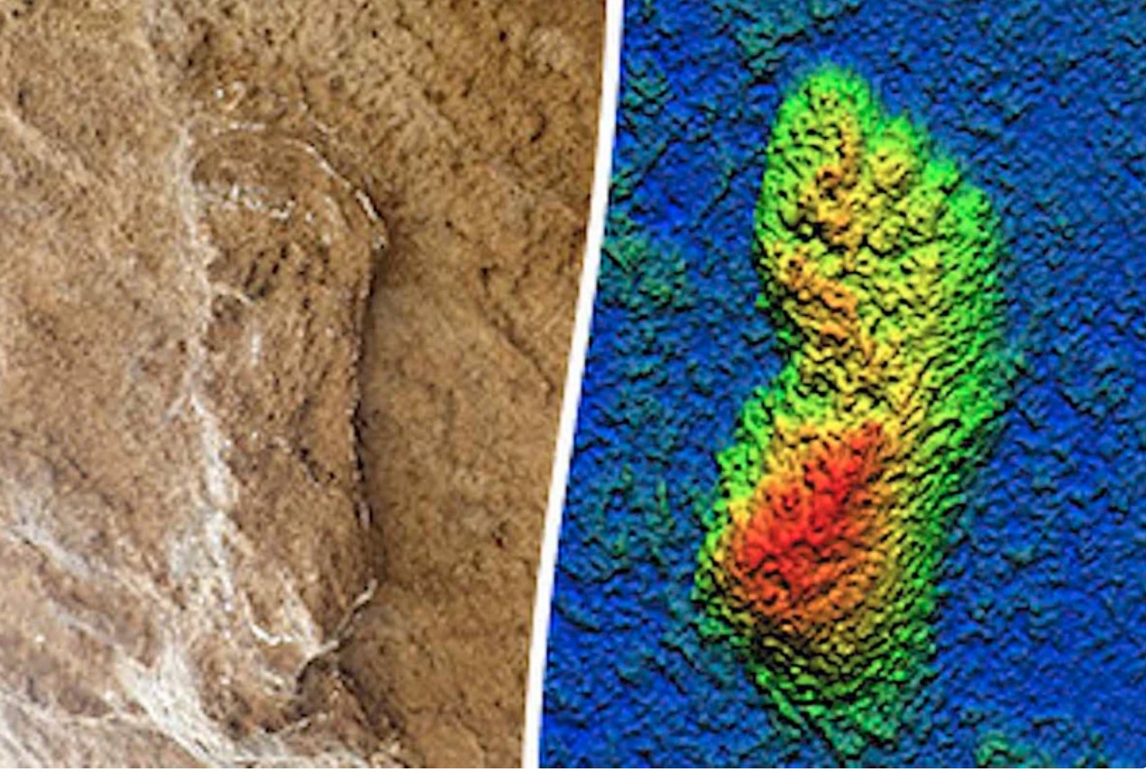Phát hiện hơn 80 dấu chân con người có niên đại khoảng 100.000 năm ở Bắc Phi