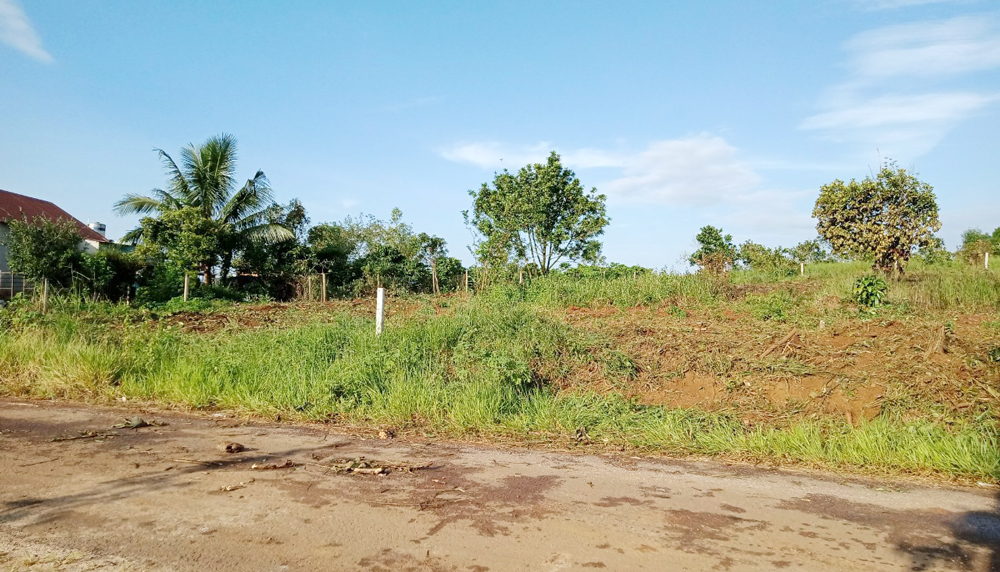 Phần đất sau khi bị ông Thanh dùng xe cơ giới đào số cây mít mà ông Thuấn đã trồng từ năm 2003