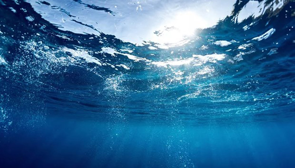 Vi khuẩn dưới nước sử dụng ''ăngten'' để thu năng lượng Mặt Trời