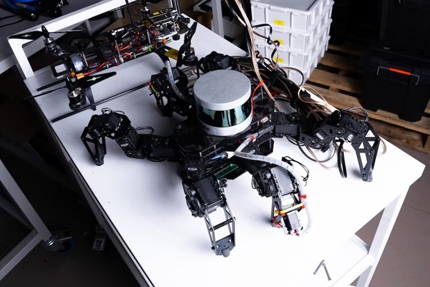 Chế tạo robot có não dựa trên đặc tính sinh học của côn trùng