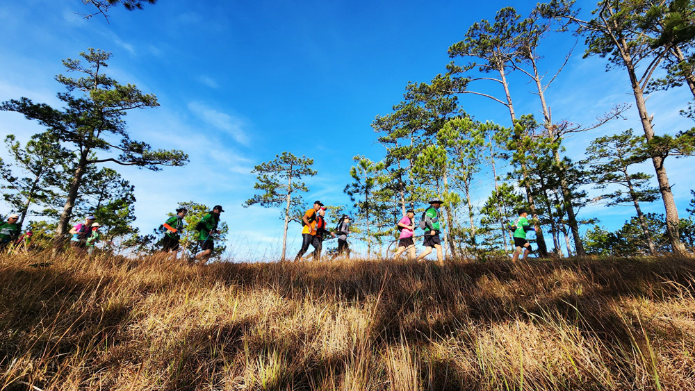  Dalat Ultra Trail diễn ra trong tháng 3, mùa khô Đà Lạt với những cung đường rừng rất đẹp. Ảnh: Văn Báu