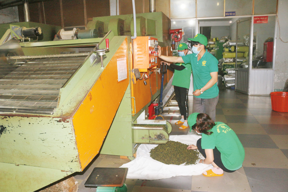 Cơ sở chế biến nông sản tại Lâm Hà