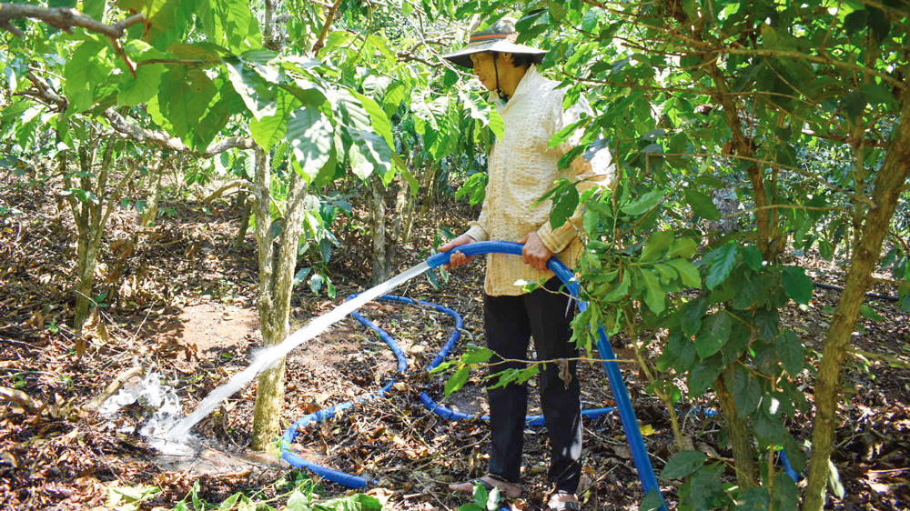 Lâm Hà: Chủ động nguồn nước tưới cho cây trồng mùa khô