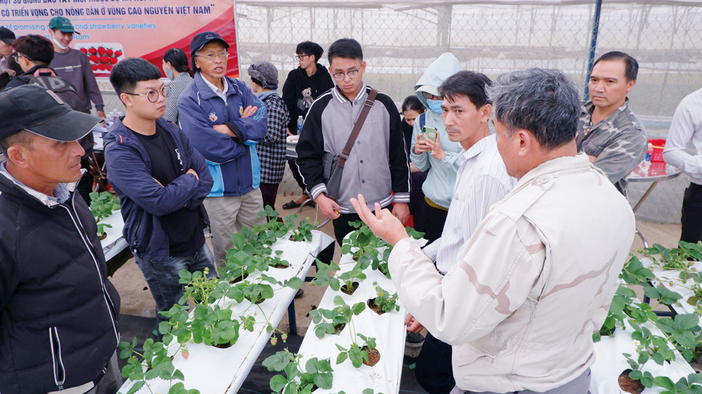 Giải pháp chiến lược đến năm 2025, ngành Nông nghiệp Lâm Đồng phát triển 75.000 ha nông nghiệp công nghệ cao