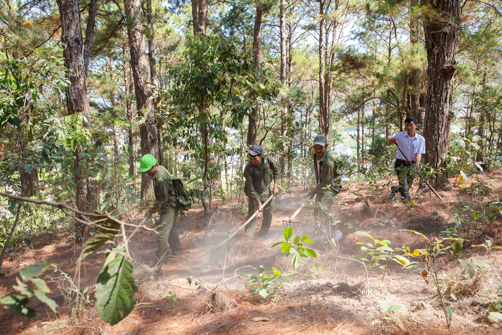 Chủ rừng và các thành viên tổ nhận khoán tổ chức thu dọn thực bì phòng cháy rừng mùa khô