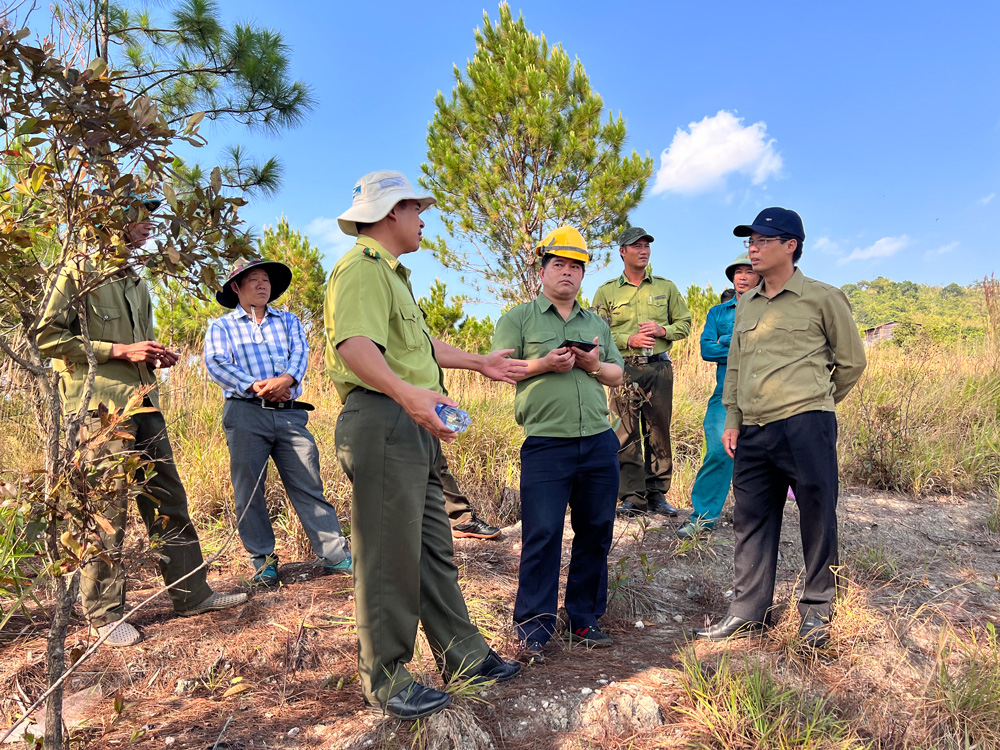 Đồng chí Đinh Văn Tuấn - Bí thư Huyện ủy Di Linh (bìa phải) trực tiếp kiểm tra công tác phòng, chống cháy rừng tại Tiểu khu 677, 678