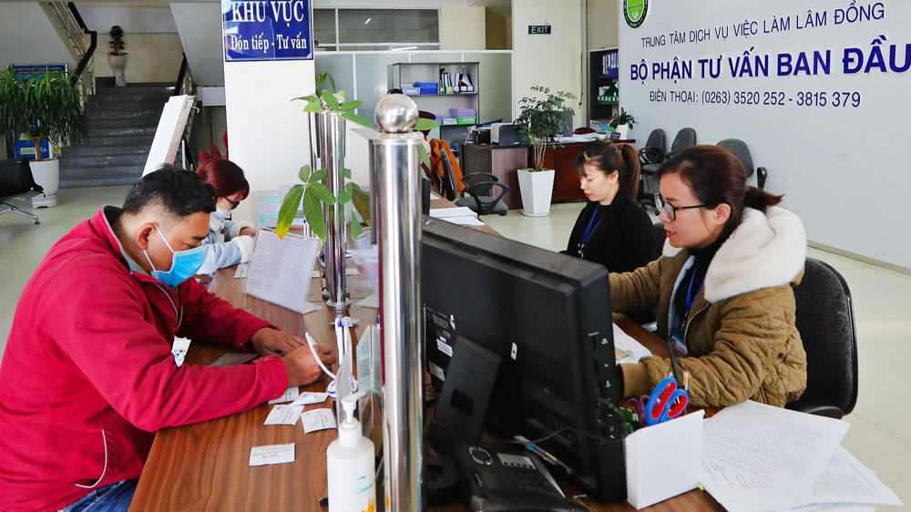 Người lao động tìm tới Trung tâm Dịch vụ việc làm tỉnh Lâm Đồng để tìm kiếm việc làm phù hợp