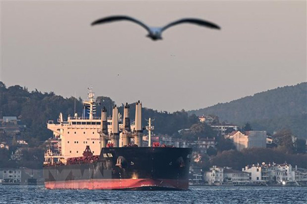 Tàu chở ngũ cốc của Ukraine di chuyển qua Eo biển Bosphorus ở Istanbul, Thổ Nhĩ Kỳ ngày 2/11/2022