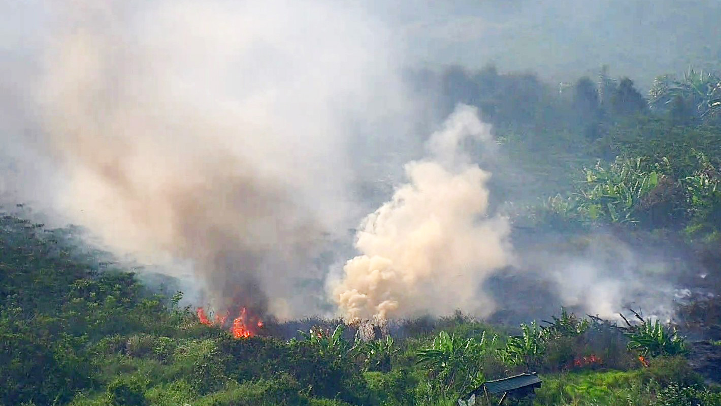 Bảo Lộc: Cháy lớn gây thiệt hại nhiều diện tích cây trồng của người dân