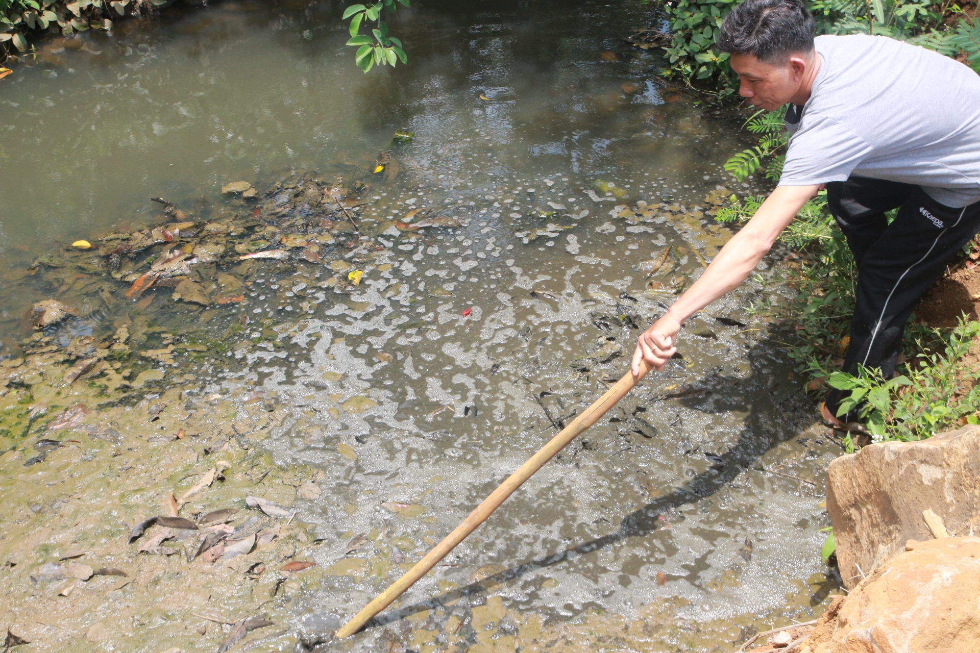 Bảo Lộc: Người dân lo lắng vì nước suối đen sì, bốc mùi hôi thối