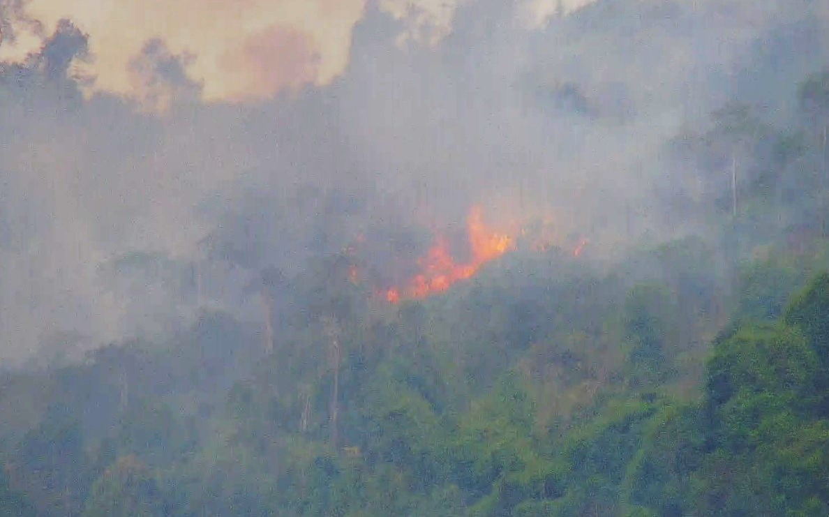 Vụ cháy tại Bảo Lộc gây thiệt hại khoảng 2 ha rừng nghèo kiệt