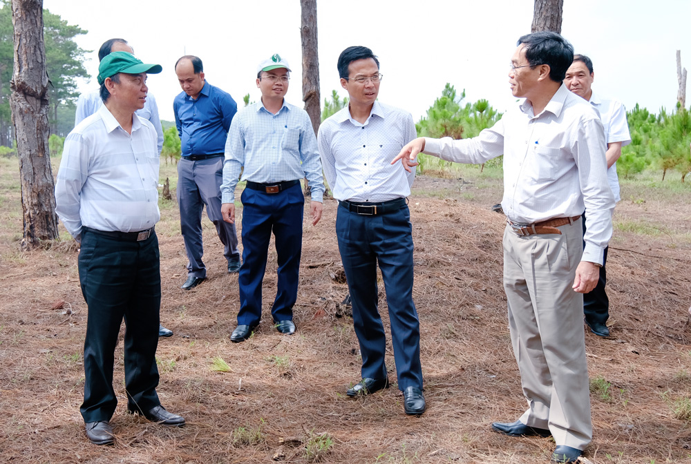Đồng chí Võ Ngọc Hiệp - Phó Chủ tịch UBND tỉnh kiểm tra công tác quản lý bảo vệ rừng