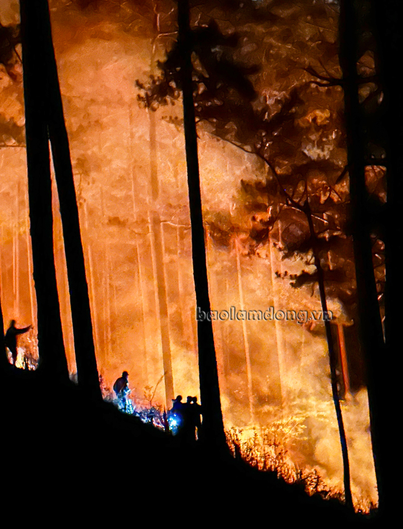 Lực lượng chữa cháy rừng vẫn nỗ lực dập lửa vào đêm khuya ngày 7/4
