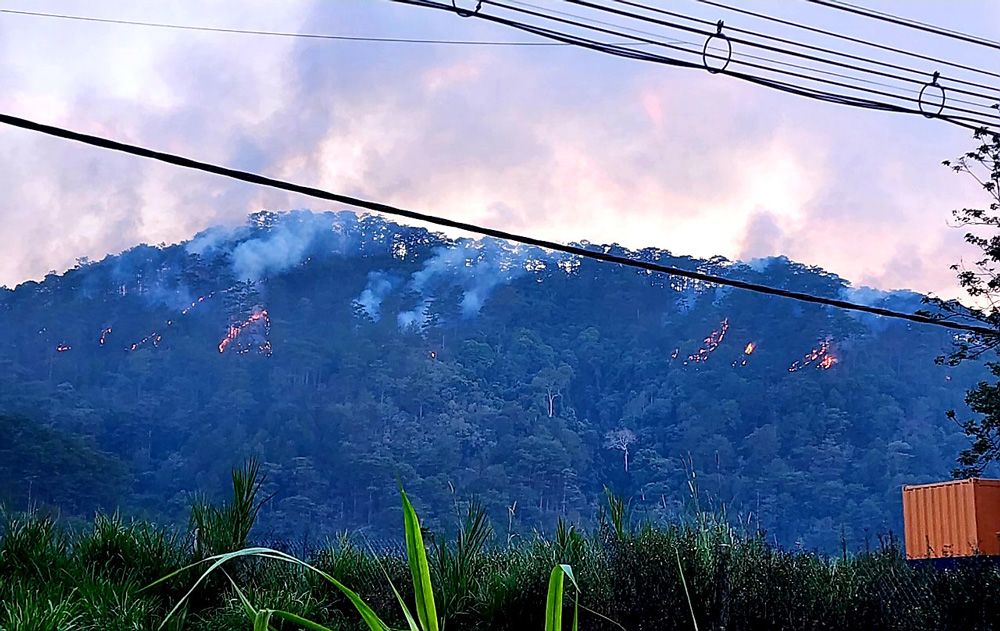 Cháy lớn ở rừng phòng hộ khu vực đèo Prenn