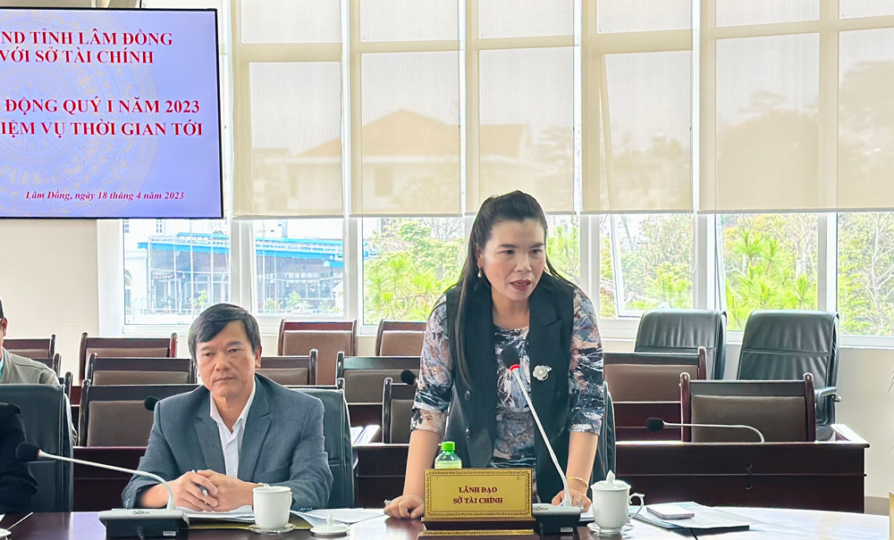Bà Phạm Thị Tường Vân - Giám đốc Sở Tài chính phát biểu tại buổi làm việc