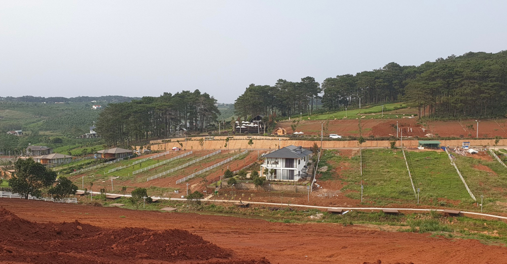 Một khu đất phân lô, bán nền ở xã Lộc Tân, huyện Bảo Lâm